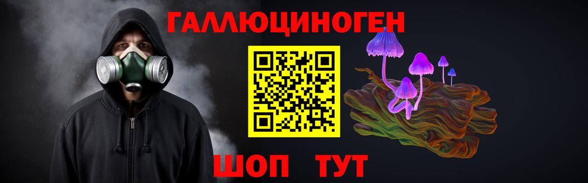 Боровичи  Псилоцибиновые грибы Cubensis  Вход с VPN 